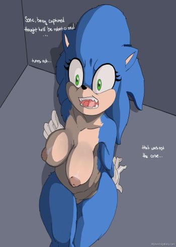 Sonic's Capture